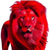 Red Lion Clinic USA logo - Similar company to Pharmacy Direct