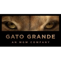 Gato Grande logo - Similar company to Steinbranding Design Studios