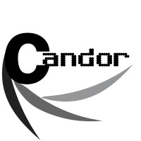 Candor Group Inc. logo - Similar company to Candor Group