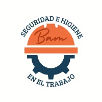 BAM Consultora logo - Similar company to Masha Consultora
