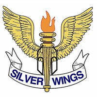 Silver Wings logo - Similar company to Groupe Actiplus