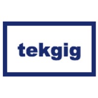 TekGig logo - Similar company to Savelsys Informatics