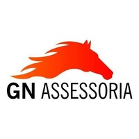 GN ASSESSORIA TÉCNICA E EXTINTORES logo - Similar company to Gm Telecom