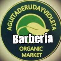 Aguitaderudayvioleta logo - Similar company to Renasis Clinic