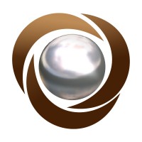 Kongsberg Ferrotech logo - Similar company to Renasys