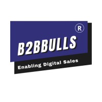 B2Bbulls