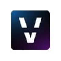 Vizling logo - Similar company to Path Software