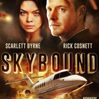 Skybound logo - Similar company to Macondia Gmbh