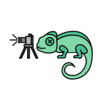 Chameleon Child Company logo - Similar company to Chameleon Grafix