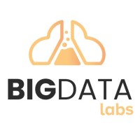 Big Data Labs logo - Similar company to Rsa24