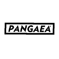Pangaea logo - Similar company to Value Squared