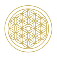 DivineSarathi logo - Similar company to Shetty Enterprises