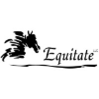 Equitate Llc