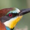 Ecology Consultant logo - Similar company to Afaaq Consultant