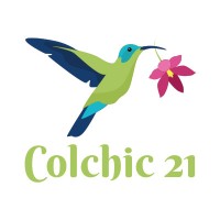 COLCHIC 21 logo - Similar company to Capelli Bizdev