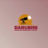 Darubini Screening International Company logo - Similar company to Remote Task Force