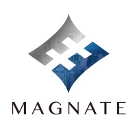 Magnate Holding Group logo - Similar company to Daka Consultancy