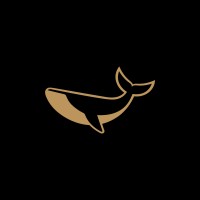 Mortgage Fund Capital logo - Similar company to Cyberplayback