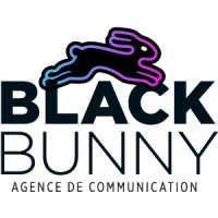 BlackBunny Communication logo - Similar company to Black Bunny Media