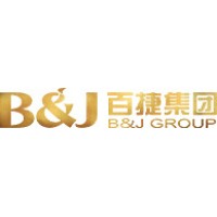 百捷集团 logo - Similar company to Silicon Topology Co. Ltd.