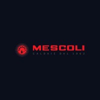 Mescoli Caldaie logo - Similar company to Nobis Fire