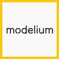 Modelium logo - Similar company to Bite Industry