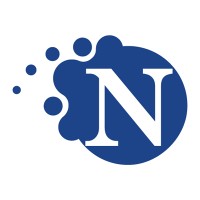 Nemesys ICT Groep logo - Similar company to Techonenl