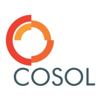 COSOL logo - Similar company to Gff Technology