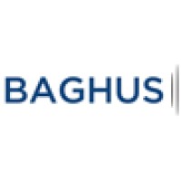 BAGHUS GmbH logo - Similar company to Yellowhat