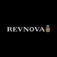 Revnova logo - Similar company to Open Big Doors