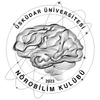 Üsküdar University Neuroscience Club logo - Similar company to İku Mbg Kulübü