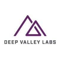 Deep Valley Labs logo - Similar company to Caltech Angels Network