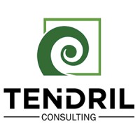 Tendril Management Consulting logo - Similar company to Med-Innovate Solutions