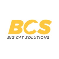 Big Cat Solutions