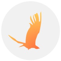 Bright Bird Media