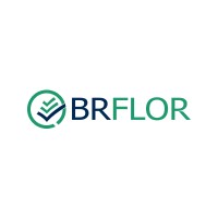 BRFLOR Oficial logo - Similar company to Build Lab