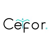 Le CEFOR logo - Similar company to Fly Karts Lovenie