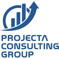 Projecta Consulting Group SAC logo - Similar company to Projecta