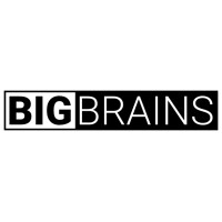 The Big Brains - Growth Partners logo - Similar company to Alkemi Media Ventures