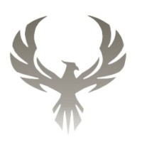 Phoenix Operations Group logo - Similar company to Snvc