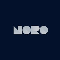 NORO Studio logo - Similar company to Primeflow Solutions