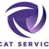 CAT Service Company for management consulting, training and development. logo - Similar company to Edison Engineering