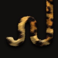Dancing Jungle logo - Similar company to Fyscore By Urmnz Int.
