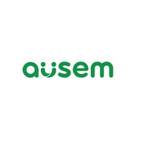 ausem logo - Similar company to Eqmax Tech Solutions