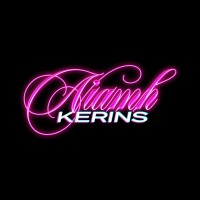 Niamh Kerins logo - Similar company to Sme Software