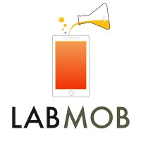 Labmob Information Technologies logo - Similar company to Ervotek Information Technologies