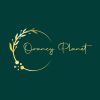 Orancy Planet logo - Similar company to Wisdom Hospice Charity