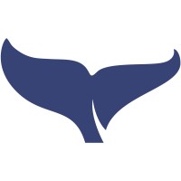Baleen Capital logo - Similar company to Schooner Capital