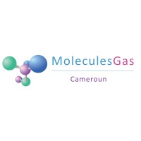 MoleculesGas Cameroun logo - Similar company to Emboto,