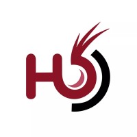 HalfOnions Digital Services logo - Similar company to Lemon Ideas - An Ecosystem !